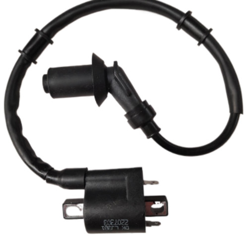 ONE 12 IGNITION COIL PACK