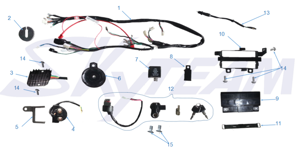 Bluroc Heritage 125 Electrical Components